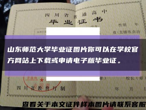 山东师范大学毕业证图片你可以在学校官方网站上下载或申请电子版毕业证。缩略图