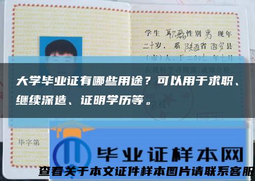 大学毕业证有哪些用途？可以用于求职、继续深造、证明学历等。缩略图