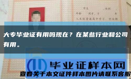 大专毕业证有用吗现在？在某些行业和公司有用。缩略图