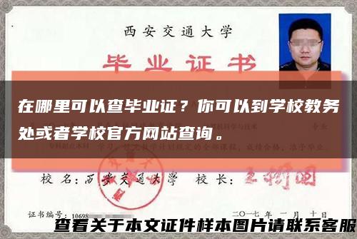 在哪里可以查毕业证？你可以到学校教务处或者学校官方网站查询。缩略图