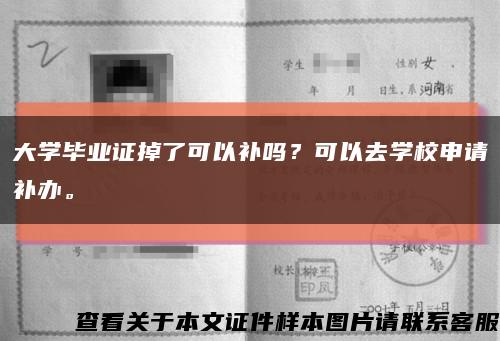 大学毕业证掉了可以补吗？可以去学校申请补办。缩略图