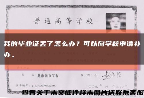 我的毕业证丢了怎么办？可以向学校申请补办。缩略图