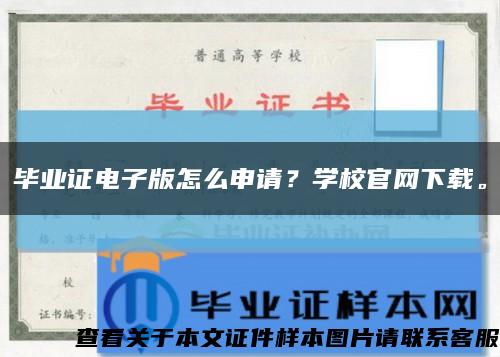 毕业证电子版怎么申请？学校官网下载。缩略图