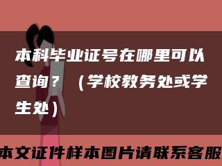 本科毕业证号在哪里可以查询？（学校教务处或学生处）缩略图