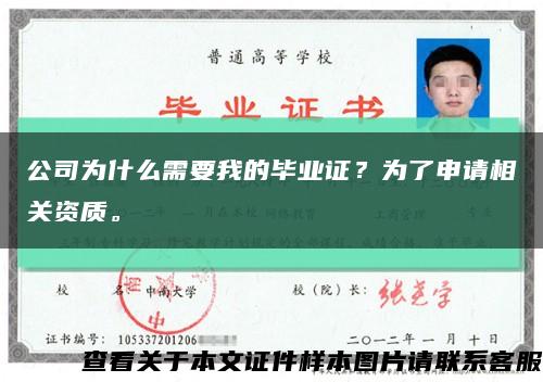 公司为什么需要我的毕业证？为了申请相关资质。缩略图