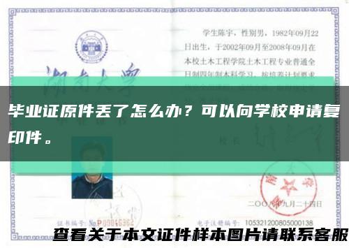 毕业证原件丢了怎么办？可以向学校申请复印件。缩略图