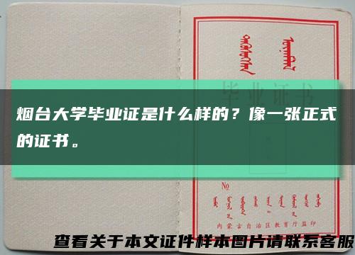 烟台大学毕业证是什么样的？像一张正式的证书。缩略图