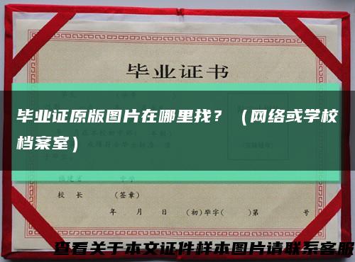 毕业证原版图片在哪里找？（网络或学校档案室）缩略图