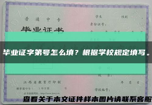 毕业证字第号怎么填？根据学校规定填写。缩略图