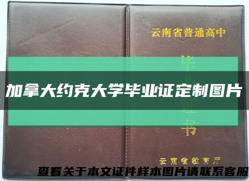 加拿大约克大学毕业证定制图片缩略图