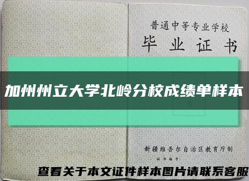 加州州立大学北岭分校成绩单样本缩略图