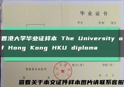 香港大学毕业证样本 The University of Hong Kong HKU diploma缩略图