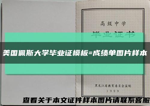 美国佩斯大学毕业证模板=成绩单图片样本缩略图