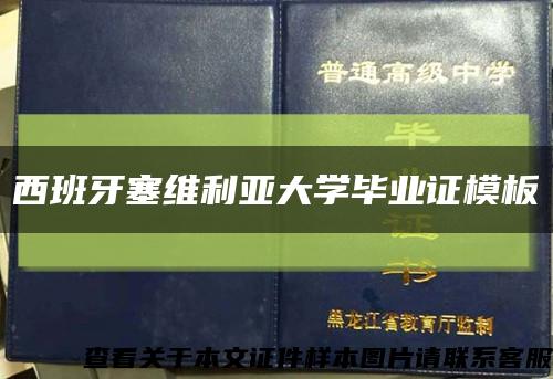 西班牙塞维利亚大学毕业证模板缩略图