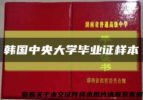 韩国中央大学毕业证样本缩略图