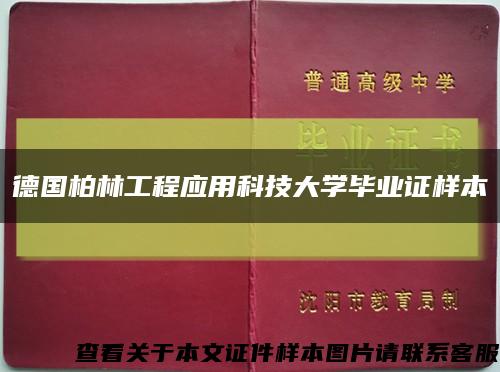 德国柏林工程应用科技大学毕业证样本缩略图