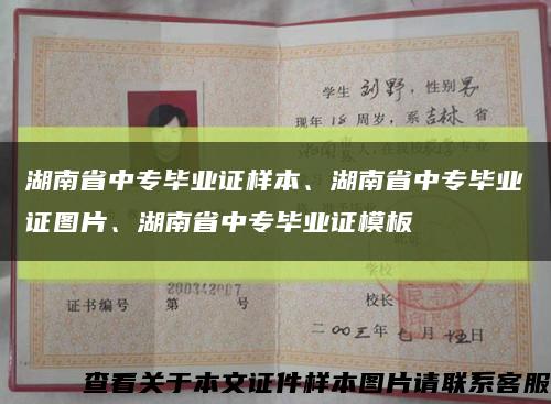 湖南省中专毕业证样本、湖南省中专毕业证图片、湖南省中专毕业证模板缩略图