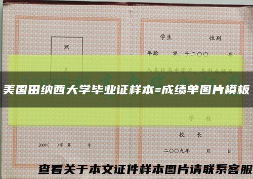 美国田纳西大学毕业证样本=成绩单图片模板缩略图