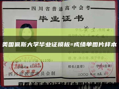 美国佩斯大学毕业证模板=成绩单图片样本缩略图