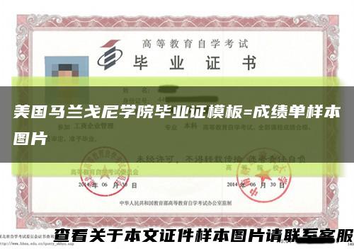 美国马兰戈尼学院毕业证模板=成绩单样本图片缩略图