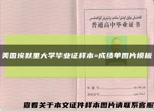 美国埃默里大学毕业证样本=成绩单图片模板缩略图