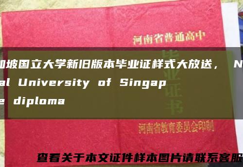 新加坡国立大学新旧版本毕业证样式大放送， National University of Singapore diploma缩略图