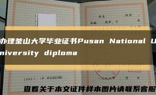 办理釜山大学毕业证书Pusan National University diploma缩略图