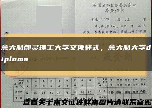 意大利都灵理工大学文凭样式，意大利大学diploma缩略图