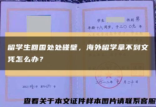 留学生回国处处碰壁，海外留学拿不到文凭怎么办？缩略图