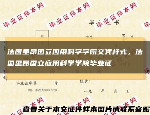 法国里昂国立应用科学学院文凭样式，法国里昂国立应用科学学院毕业证缩略图