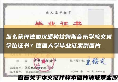 怎么获得德国汉堡勃拉姆斯音乐学院文凭学位证书？德国大学毕业证案例图片缩略图