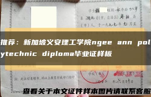 推荐：新加坡义安理工学院ngee ann polytechnic diploma毕业证样板缩略图