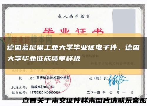 德国慕尼黑工业大学毕业证电子件，德国大学毕业证成绩单样板缩略图