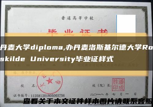 丹麦大学diploma,办丹麦洛斯基尔德大学Roskilde University毕业证样式缩略图