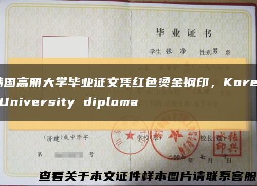 韩国高丽大学毕业证文凭红色烫金钢印，Korea University diploma缩略图