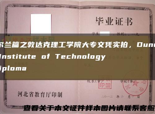 爱尔兰篇之敦达克理工学院大专文凭实拍，Dundalk Institute of Technology diploma缩略图