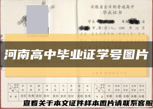 河南高中毕业证学号图片缩略图