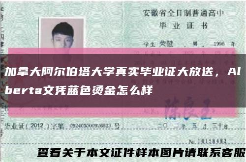 加拿大阿尔伯塔大学真实毕业证大放送，Alberta文凭蓝色烫金怎么样缩略图