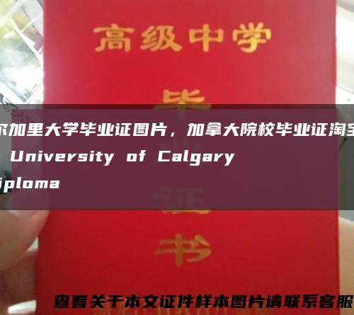 卡尔加里大学毕业证图片，加拿大院校毕业证淘宝购买，University of Calgary diploma缩略图