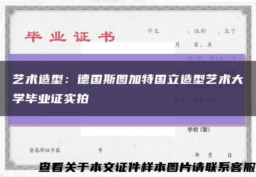 艺术造型：德国斯图加特国立造型艺术大学毕业证实拍缩略图