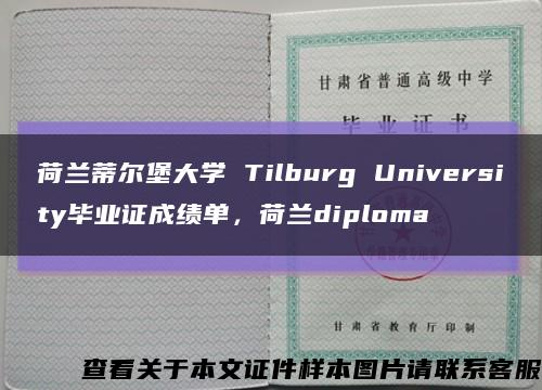 荷兰蒂尔堡大学 Tilburg University毕业证成绩单，荷兰diploma缩略图