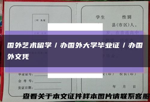 国外艺术留学／办国外大学毕业证／办国外文凭缩略图