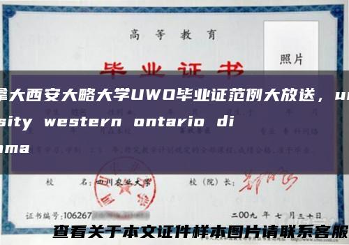 加拿大西安大略大学UWO毕业证范例大放送，university western ontario diploma缩略图