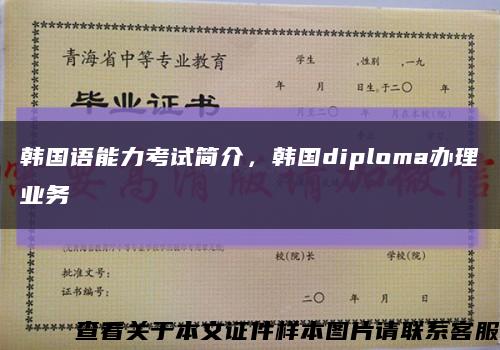 韩国语能力考试简介，韩国diploma办理业务缩略图