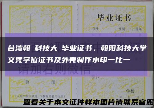 台湾朝陽科技大學毕业证书，朝阳科技大学文凭学位证书及外壳制作水印一比一缩略图