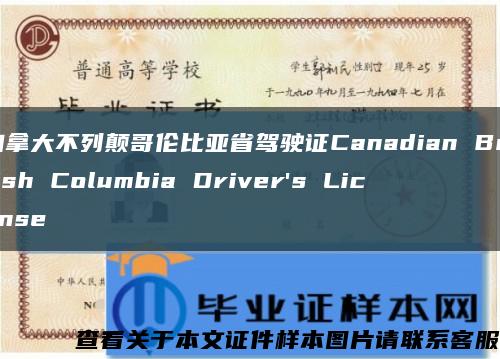 加拿大不列颠哥伦比亚省驾驶证Canadian British Columbia Driver's License缩略图