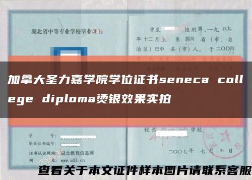 加拿大圣力嘉学院学位证书seneca college diploma烫银效果实拍缩略图