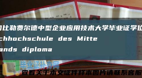 德国比勒费尔德中型企业应用技术大学毕业证学位证，Fachhochschule des Mittelstands diploma缩略图