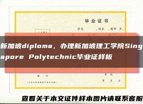 新加坡diploma，办理新加坡理工学院Singapore Polytechnic毕业证样板缩略图