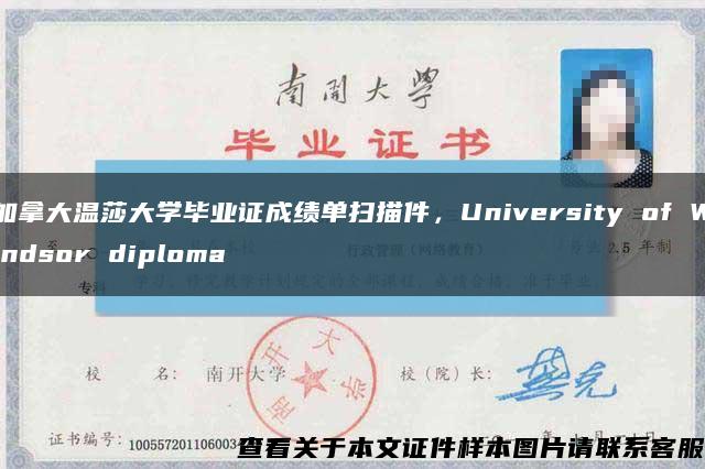 加拿大温莎大学毕业证成绩单扫描件，University of Windsor diploma缩略图